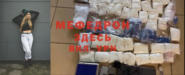 индика Мегион