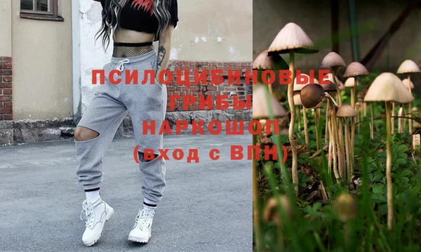 винт Медвежьегорск