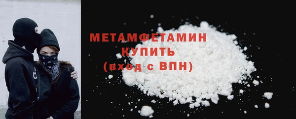 индика Мегион