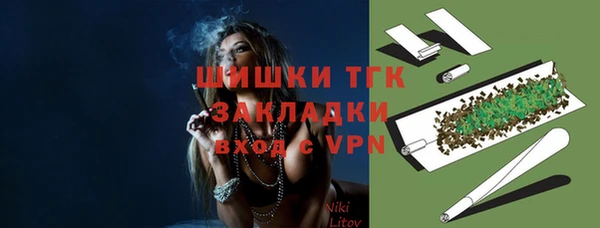 индика Мегион