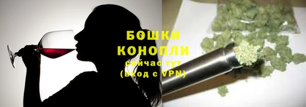 индика Мегион