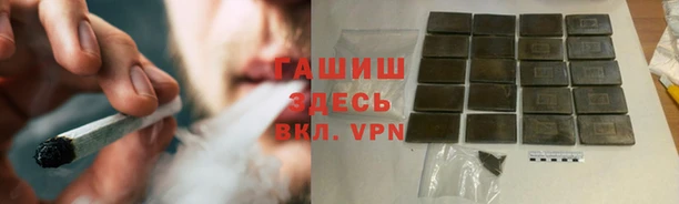 индика Мегион
