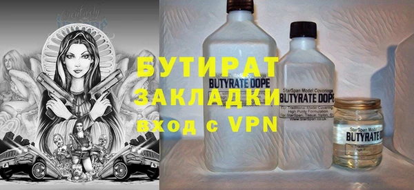 индика Мегион