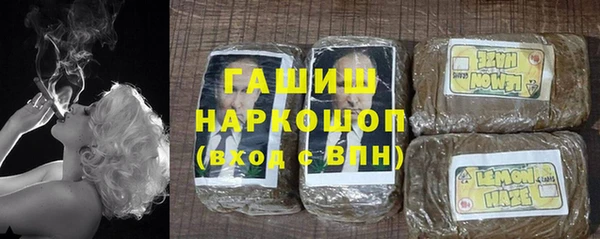 индика Мегион