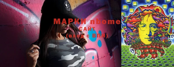 индика Мегион