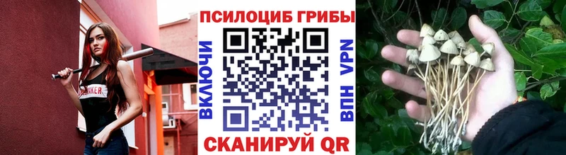Галлюциногенные грибы MAGIC MUSHROOMS  Дегтярск 